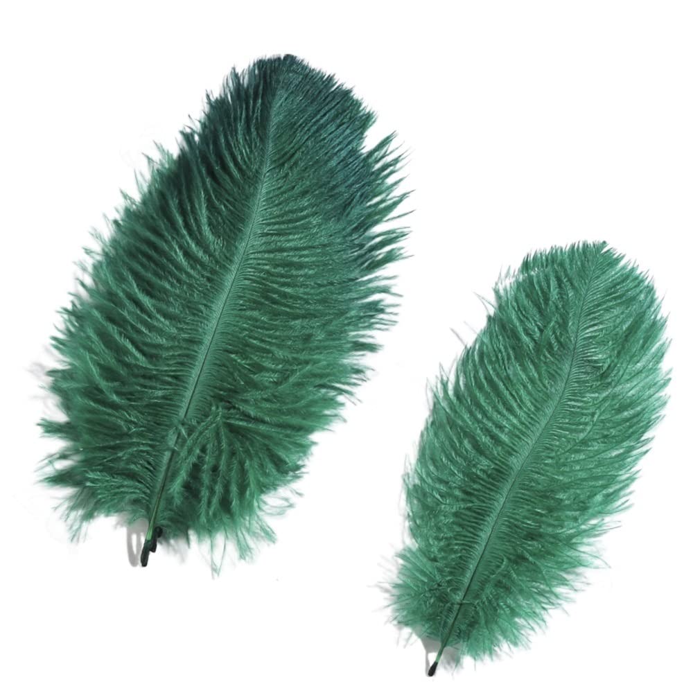 Plumes d'autruche magnifiques vert foncé 15-20 cm pour parures de luxe