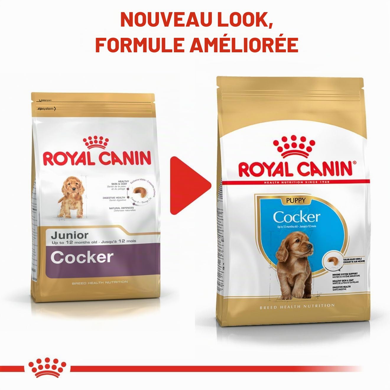 ROYAL CANIN COCKER JUNIOR sac de 3 kg/Croquettes pour chiot COCKER de 2 à 12 mois