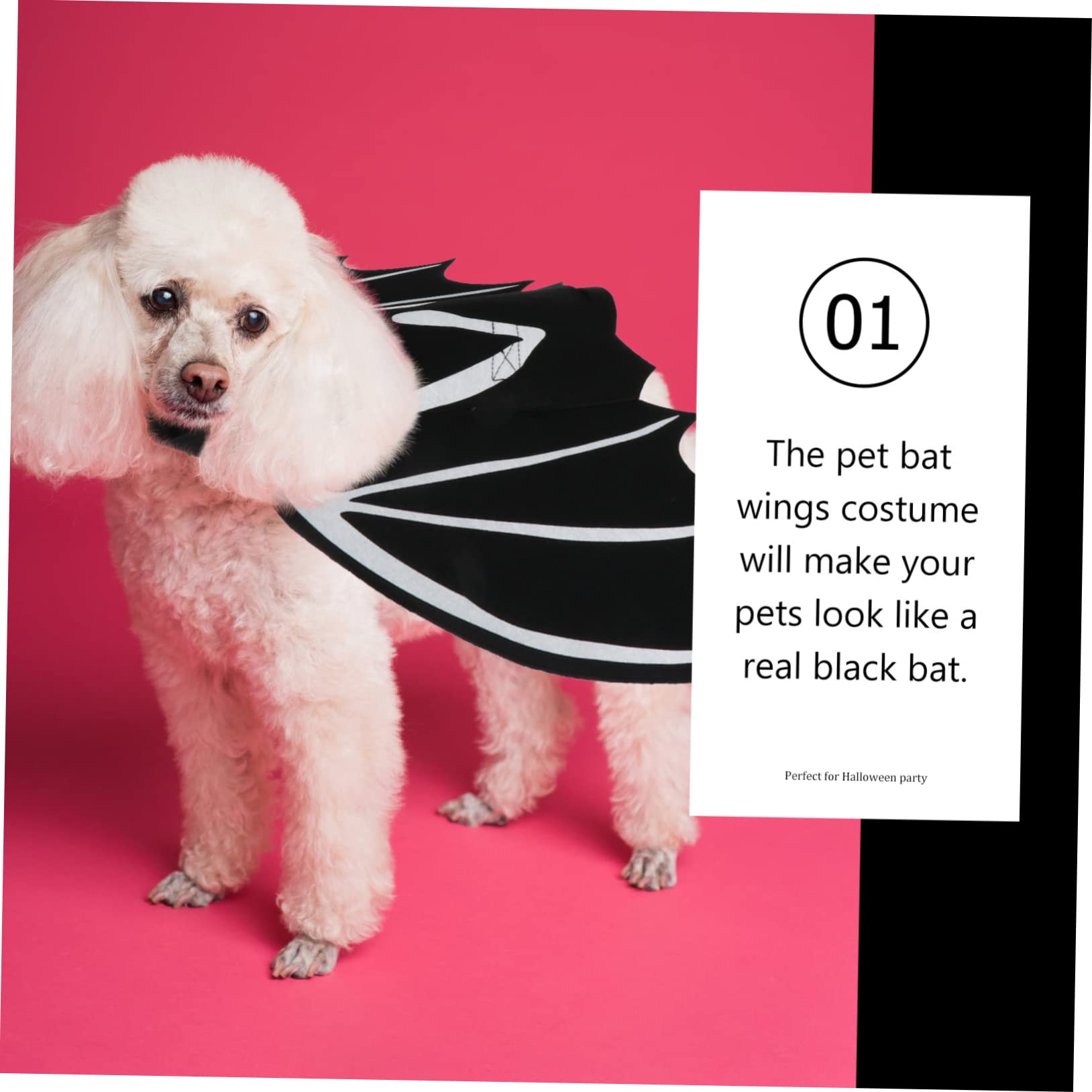 Happyyami 3pezzi Costume Per Animali Domestici Halloween Con Da Pipistrello Luminose Abbigliamento Per Gatti e Cani Pet Supplies Creativi e Confortevoli
