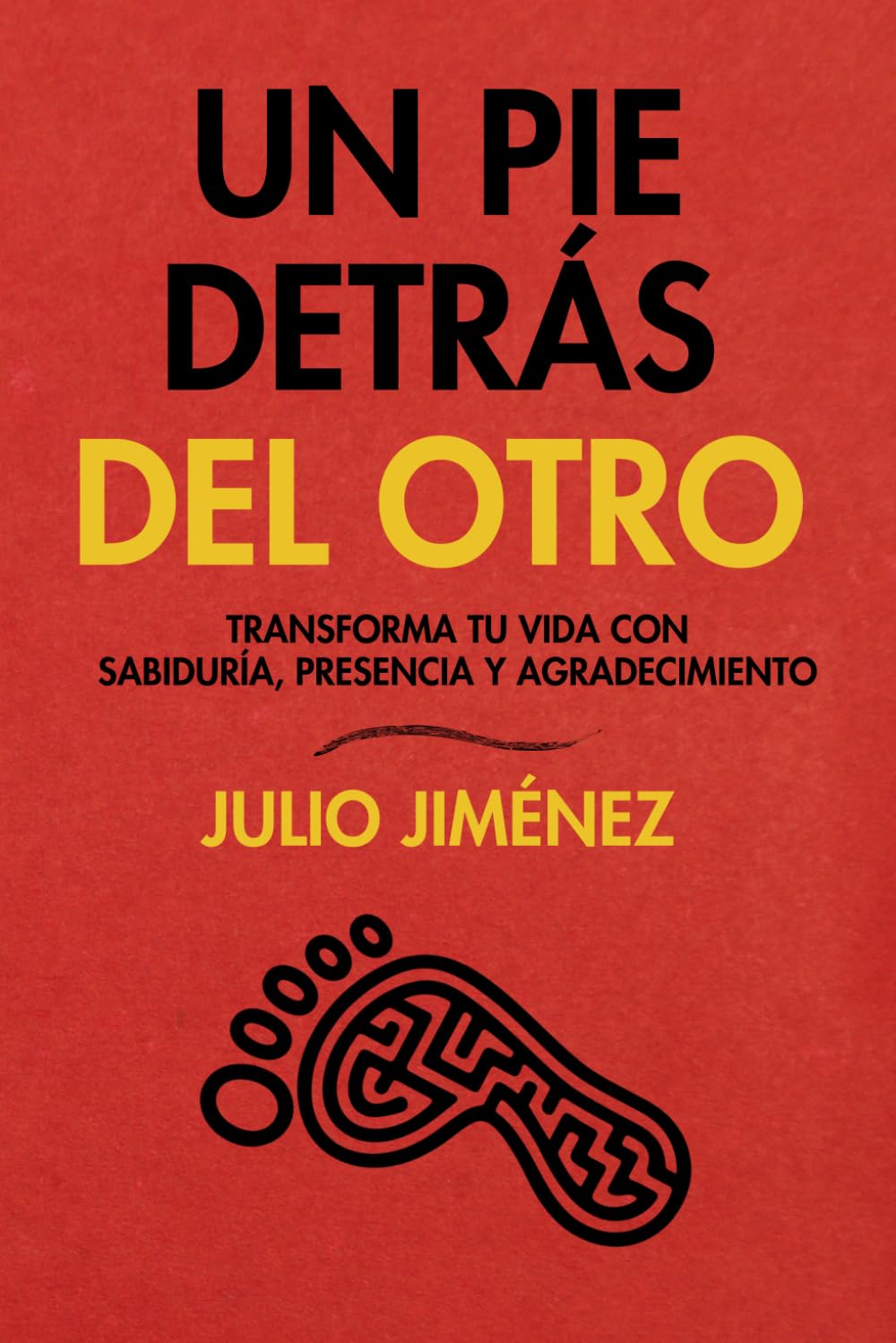 Un pie detrás del otro: Transforma tu vida con sabiduría, presencia y agradecimiento