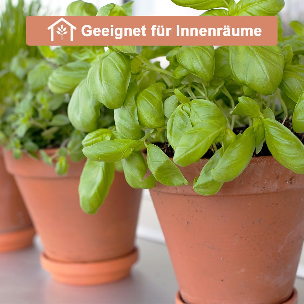 Vensovo 2er-Pack 20 cm große Terrakotta-Töpfe mit Untersetzern | Große Tontöpfe mit Ablaufloch und Untersetzern für Pflanzen, ideal für den Innen- und Außenbereich