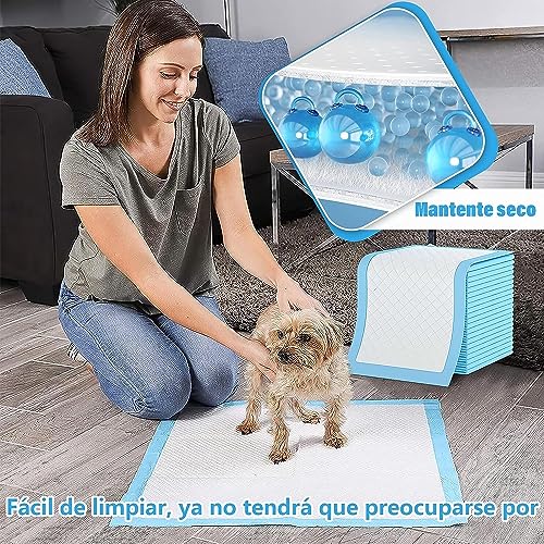 La mejor comparación de Tapete entrenador para perro soriana Top diez. 27 Imagen adicional