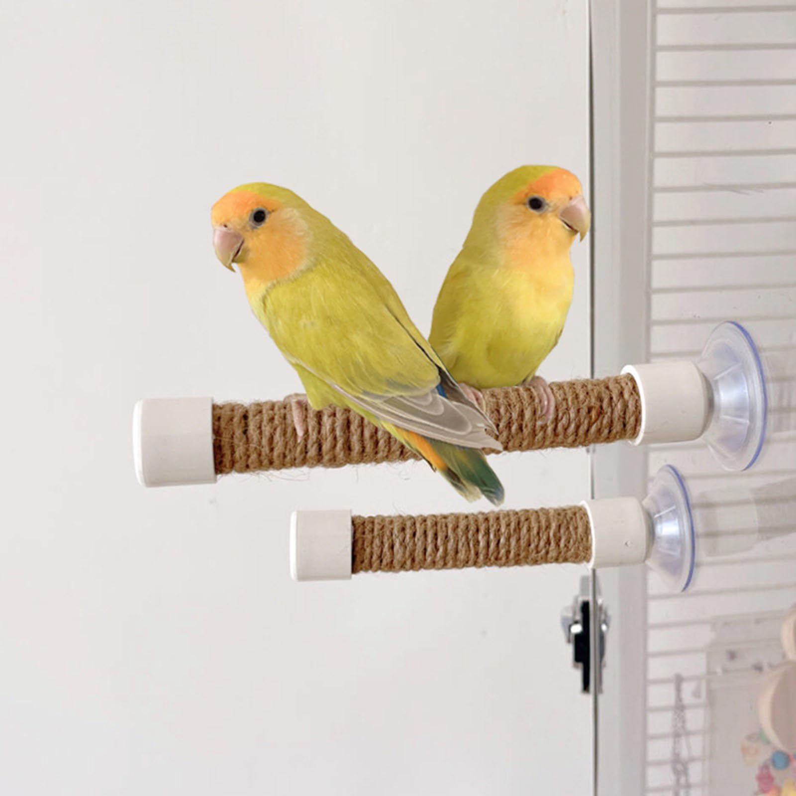 止まり木&オウムスタンド&他色々{コメント用} Amazon.co.jp: 鳥止まり木スイング臼歯スタンドオウムコニュア用品