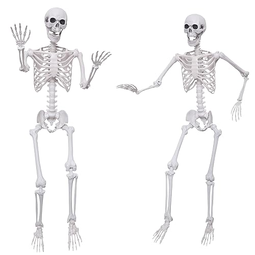 2Pack 5.4Ft Life Size Skeletons Posable Skeletons Full Size Plastic