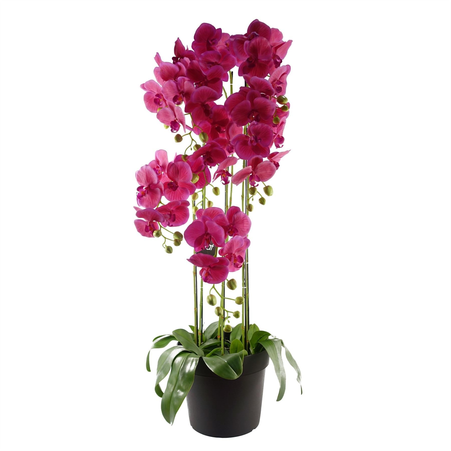 Botanik Realistic Artificial Orchid Plants Fully Potted