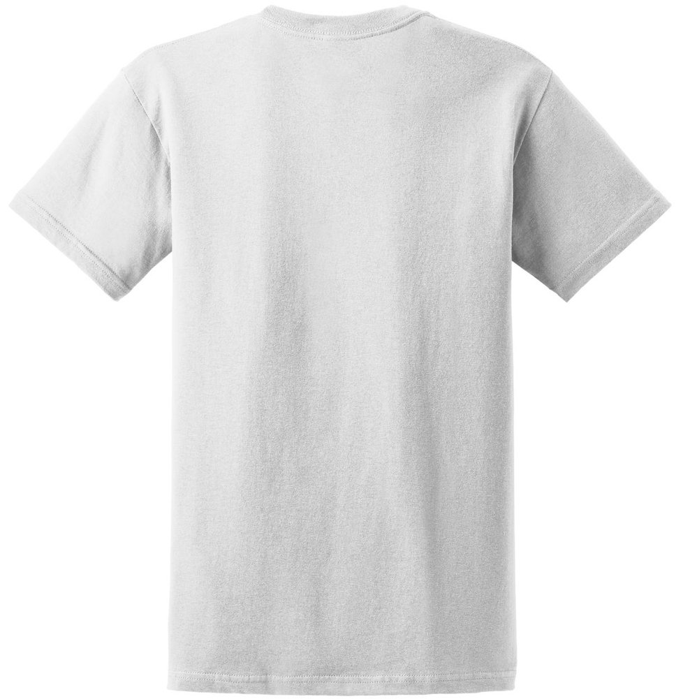 Koloa Surf Mens Seas and Stripes Logo Heavy Cotton Tees-M-White/c