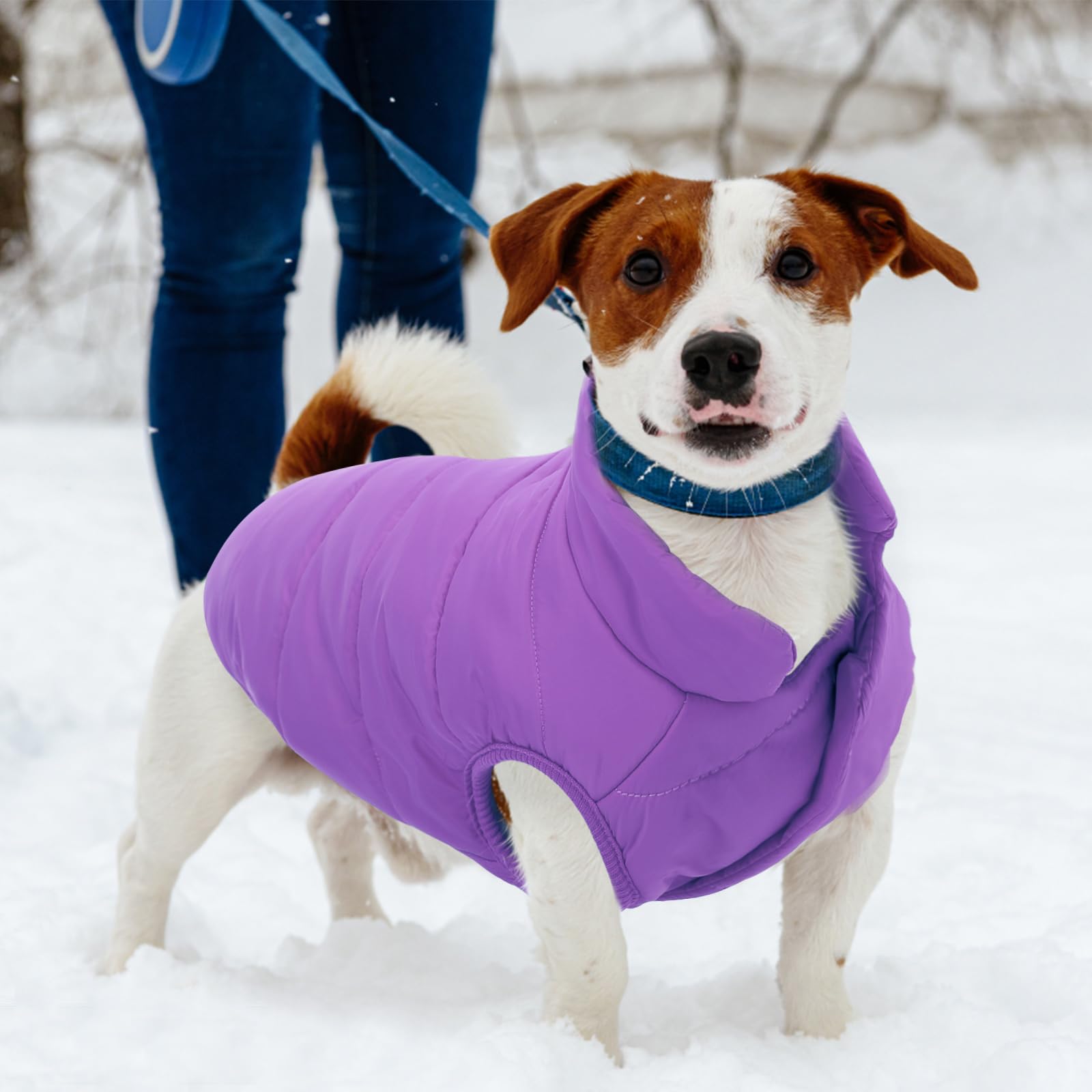 ASENKU Abrigo de invierno para perro, impermeable, resistente al viento, chaleco cálido a prueba de nieve para clima frío, abrigos de nieve ligeros para perros pequeños, medianos y grandes (morado, L)