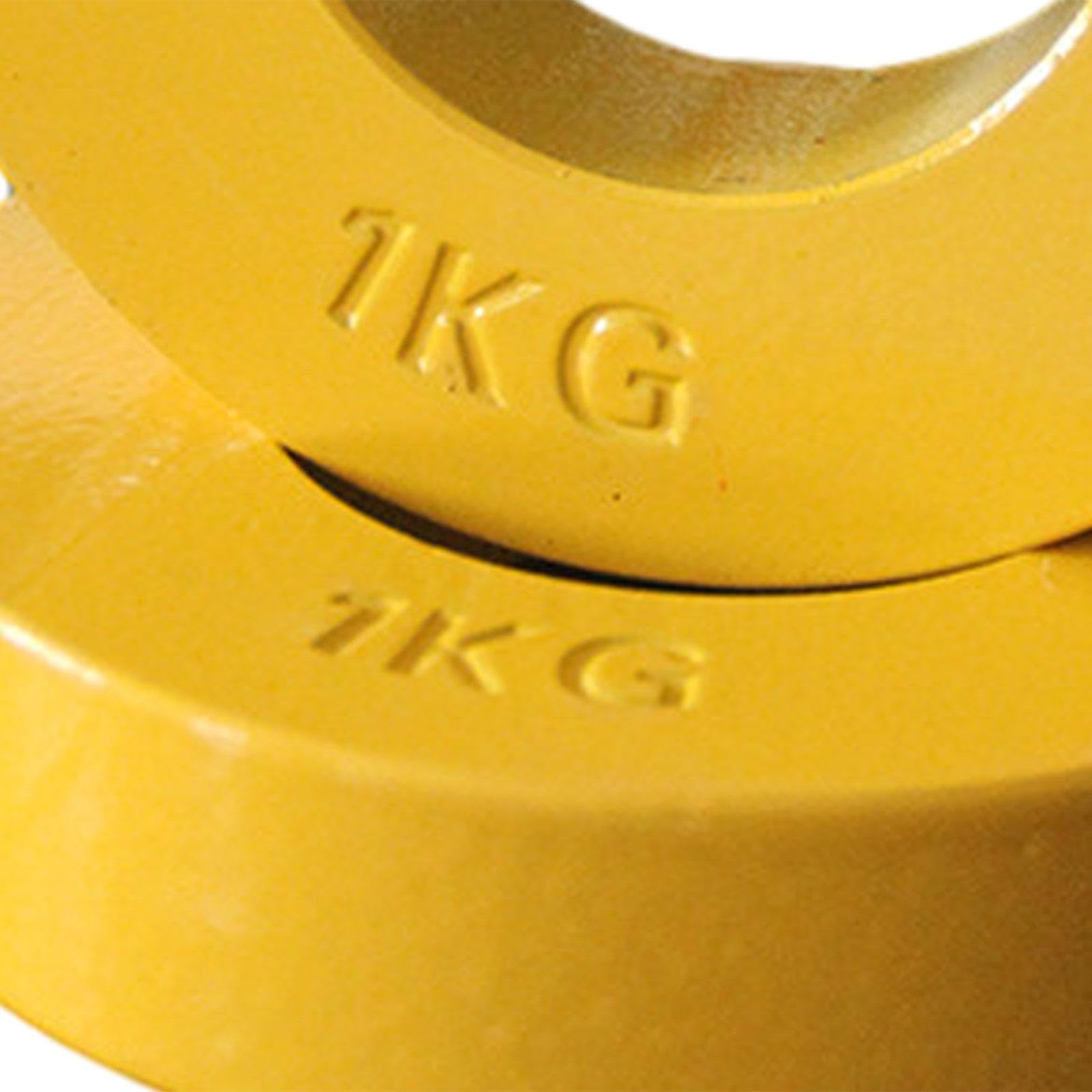 YIJU 2x Fractional Micro Weight Plates Change Weight Shatterproof 3.86