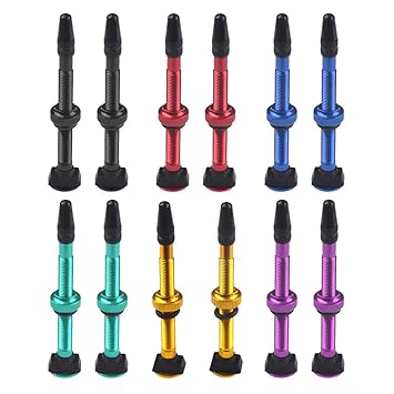 VMS INDIA 2X Bike Bicycle Aluminum Alloy 60mm Tubeless Presta Valve Kit Replacement Black