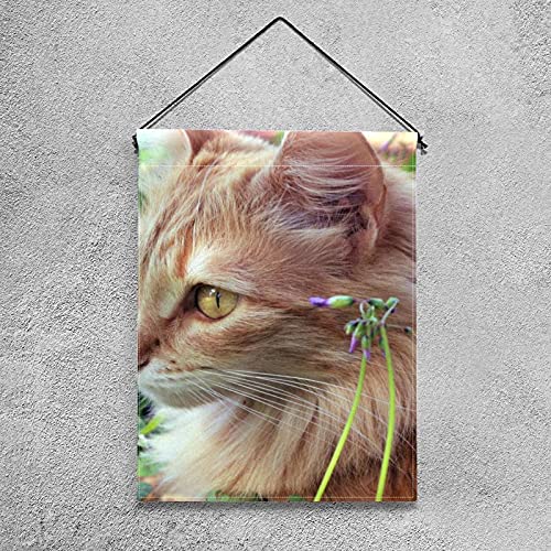 Drapeau de jardin chat mignon double face pour décoration extérieure de maison - 4