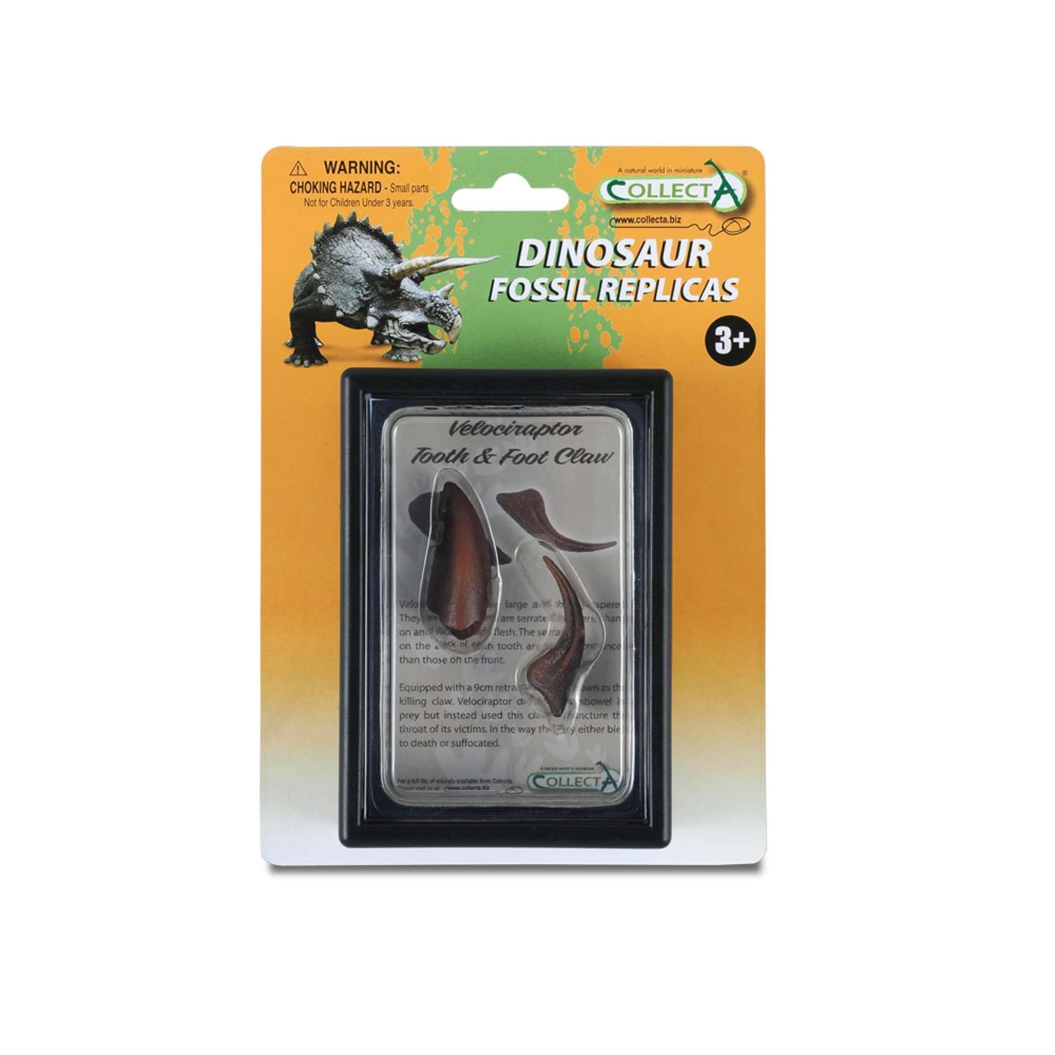 CollectA Tooth & Foot Claw of Velociraptor, Boxed Replica Set
