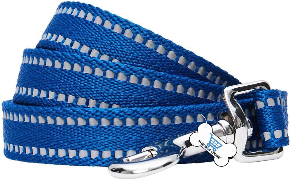 COZY PUPPIES Reflective Dog Leash 10 Feet Nylon Leash Durable Training Lead Rope with Metal Clasps Leash for Puppies Dog Training Leash for Small Medium Large Dogs Pet Dog Accessories (10 FT, Blue)