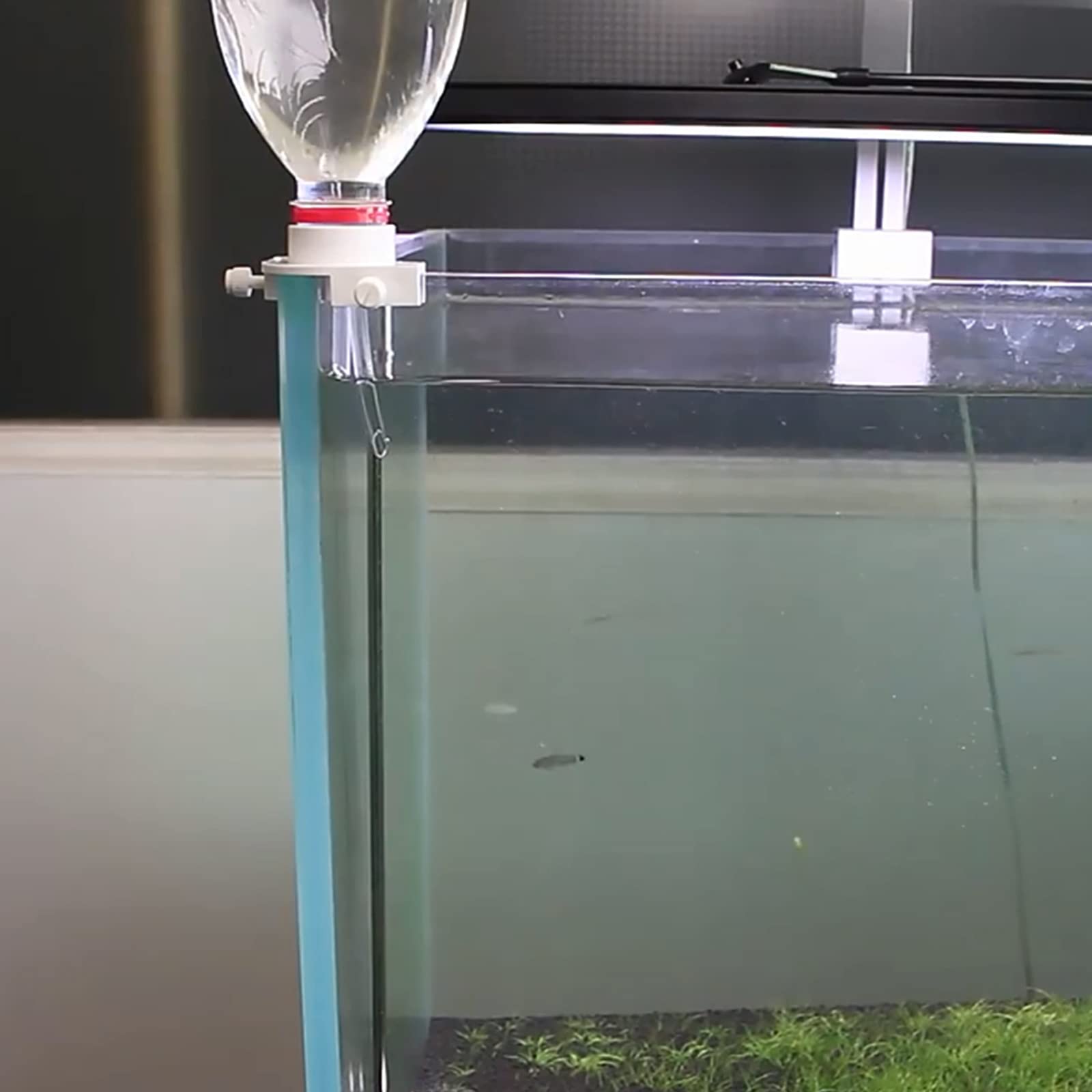 rabbocco automatico Pesce per serbatoio Riempimento acqua Riempimento regolabile Dispositivo aggiunta acqua d'acquario per serbatoio Acc riempimento automatico acquario