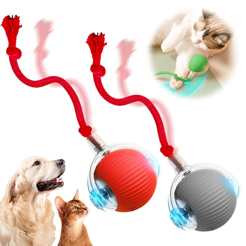 Smart Interactive Cat Toys - Automatic Ball Toys with Cord Imitation Mouse (Red+Gray)