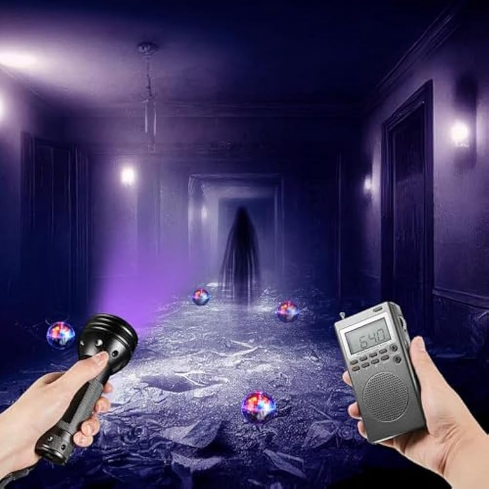 Kit d'équipement de chasse pour chat avec radio, 4 balles et lampe de poche, jouet interactif lumineux pour la maison et l'extérieur