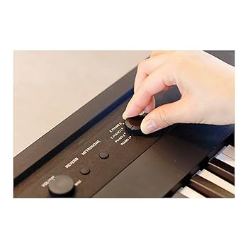 Amazon.com: Korg Liano Portable 88-key Digital Piano w/ Semi
