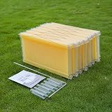 BeeHoneyFlow 7 Auto Frames