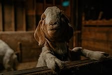 Review Image by Kenzie Holmberg Kenzie Holmberg