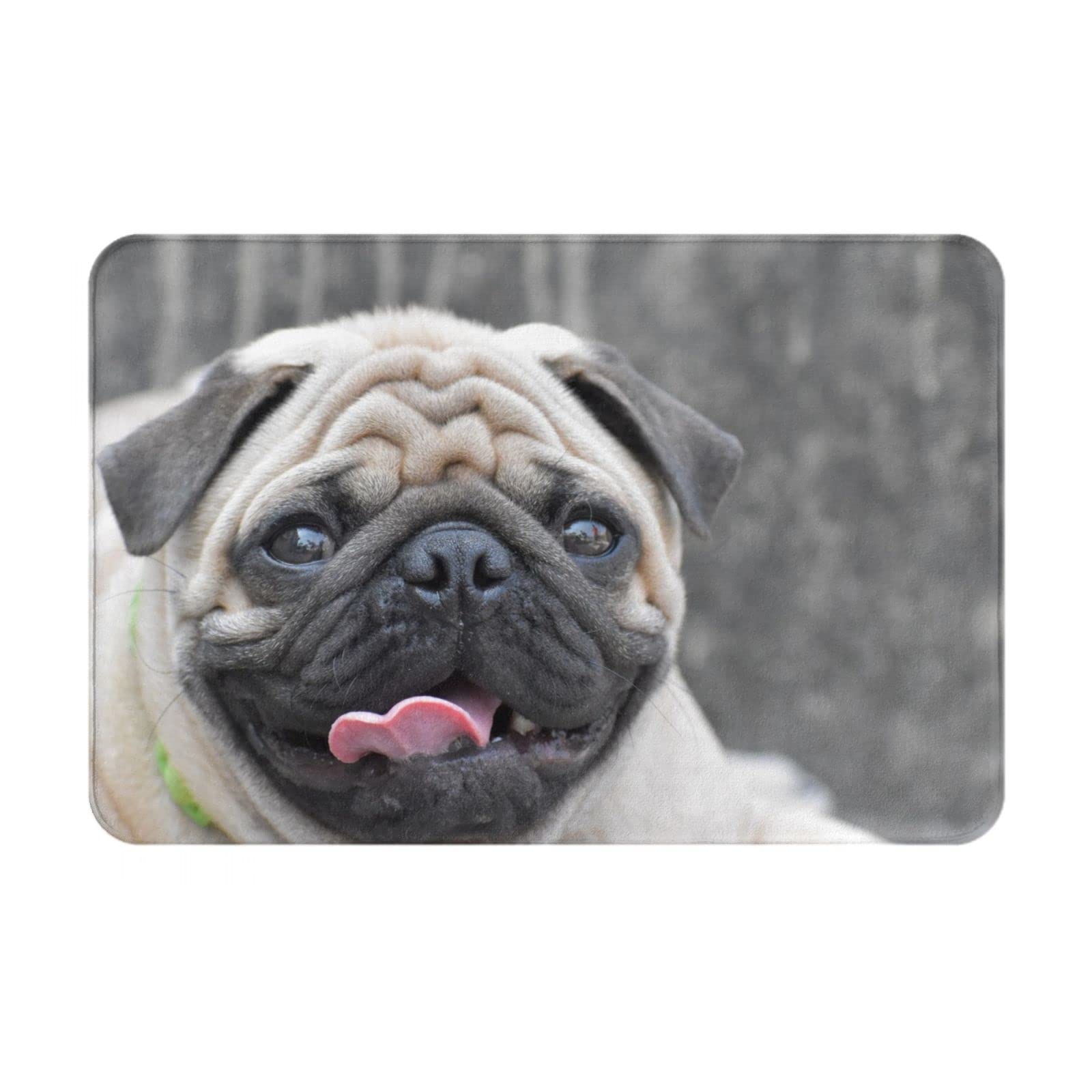 Bath Mat Modern Unique Area Carpet Anti Slip Carpets for Bathroom, Door Entry, Laundry Room, Thick Soft Doormat Pug Dog Rug