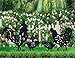 YEAHOME Rooster Garden Metal Stakes - Black Rooster Silhouette Stake for Yards,...