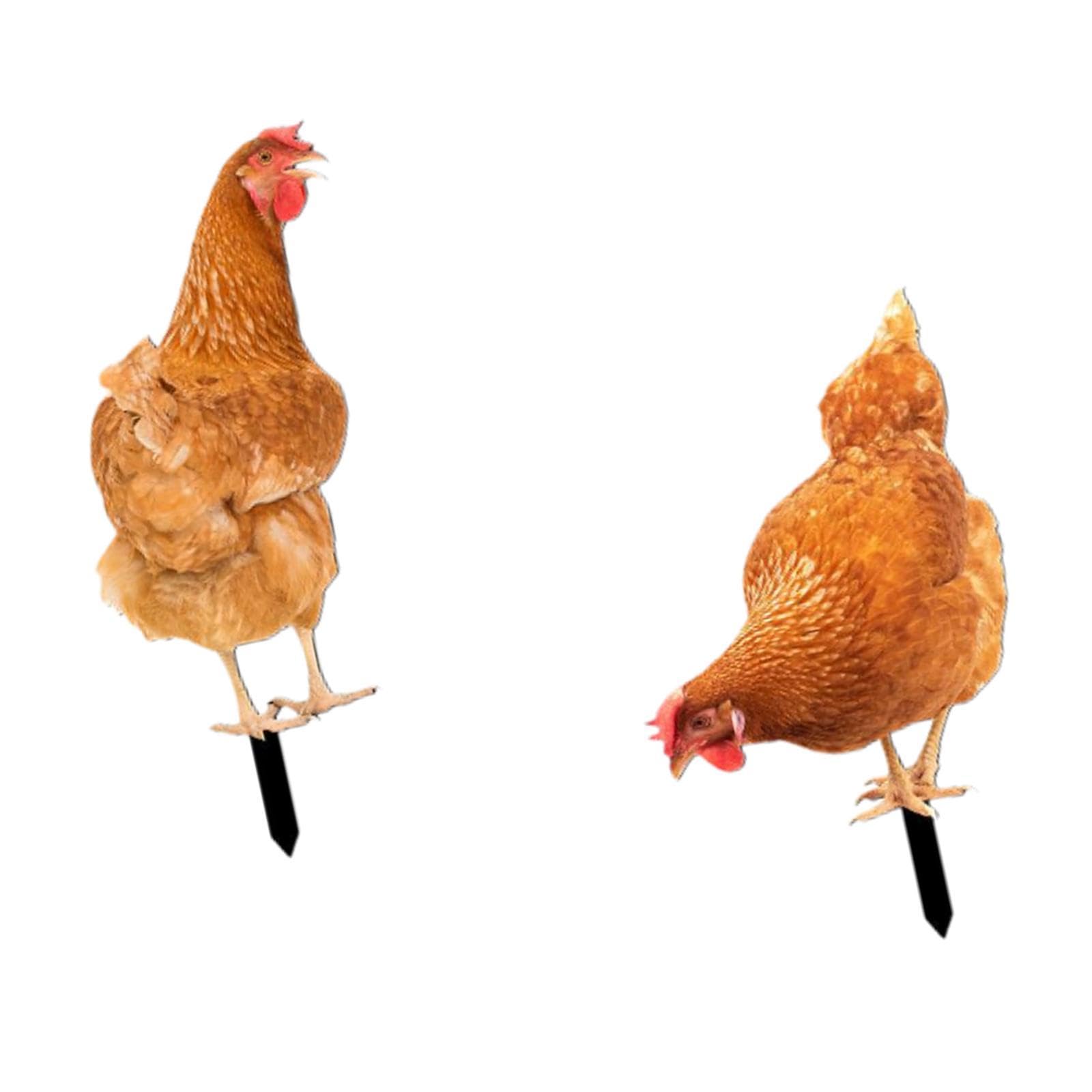 Figurine poule de jardin en acrylique lot de 2 piquets décoratifs animaliers pour extérieur