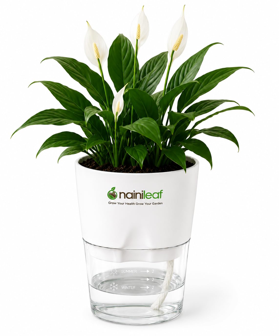 Peace Lily Plant with Self-Watering Style Pot Decorative Faux Indoor Plant for Home, Office, Living Room, Bedroom, Desk, Balcony & Table Décor (Pack of 1)-image-6