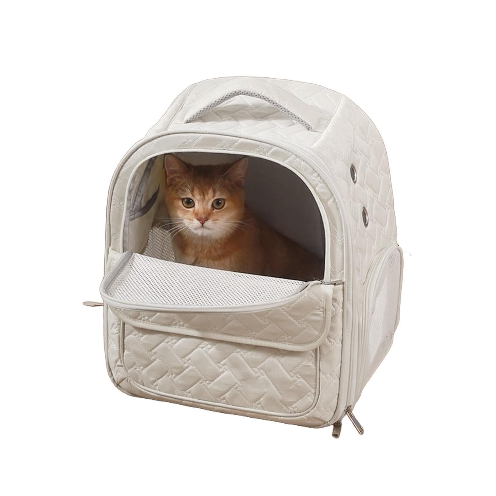 Zaino trasportino per gatti, borsa da viaggio per animali domestici, design pieghevole, per interni ed esterni, escursionismo, campeggio, moto, trasporto approvato dalle compagnie aeree, per gattini