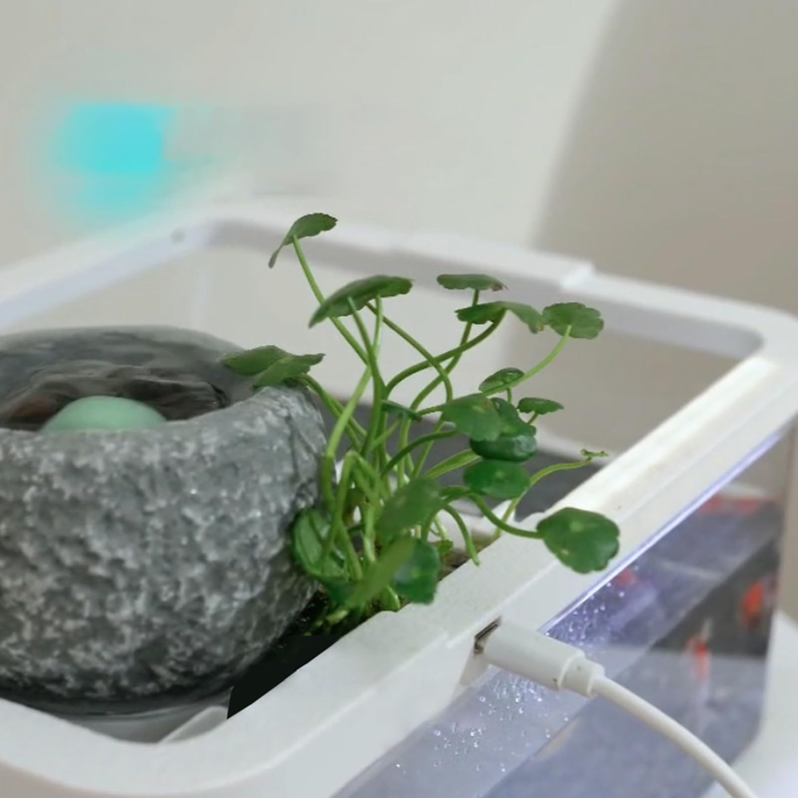 Małe akwaria Dekoracja z Oświetleniem LED i Pompą | Mały zbiornik biurkowy Dla Meduz, Do Akwaponiki, Do Sypialni, Biura, Na Półkę