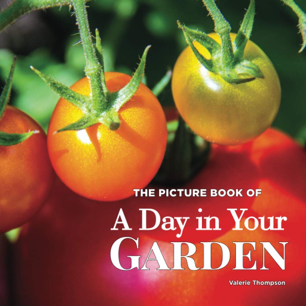 The Picture Book of A Day in Your Garden: Activity for Seniors with dementia, Alzheimer's, impaired memory, aging, caregivers (Discreet Picture Book)