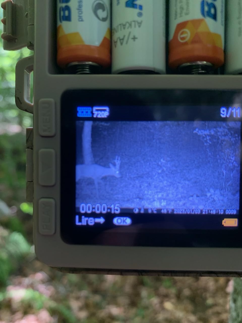 Excellent value for money!