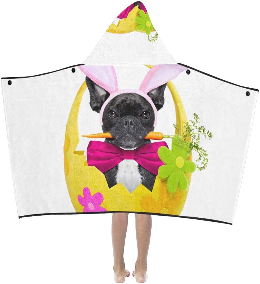 Why Does My Dog Hold A Blanket In His Mouth