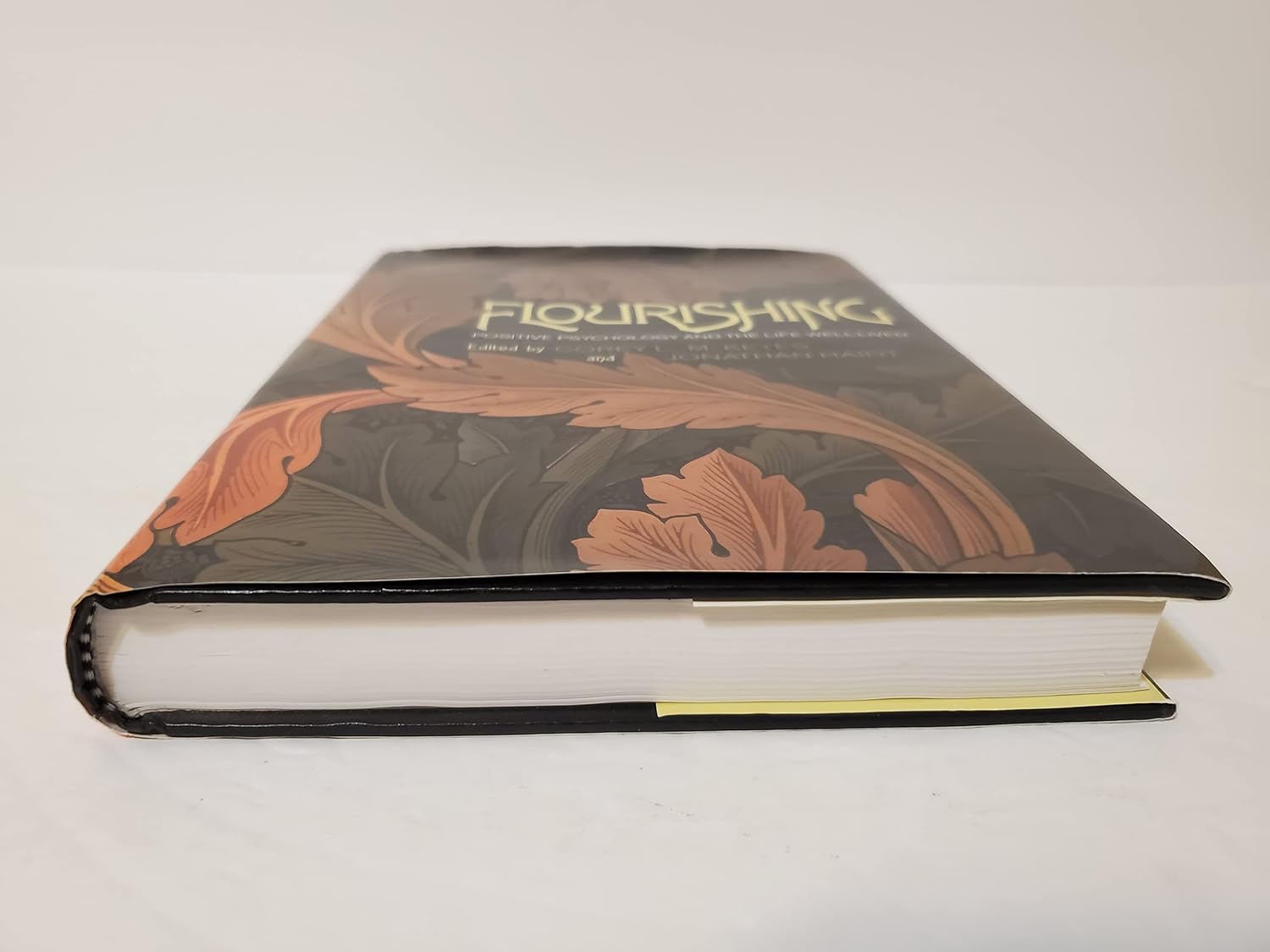 Flourishing: Positive Psychology and the Life Well-Lived