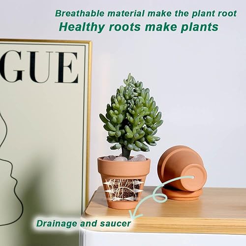 Miniatura 4 de vensovo 48 macetas pequeñas de terracota  Mini macetas de arcilla de 2 pulgadas con agujeros de drenaje, macetas de terracota para interiores y