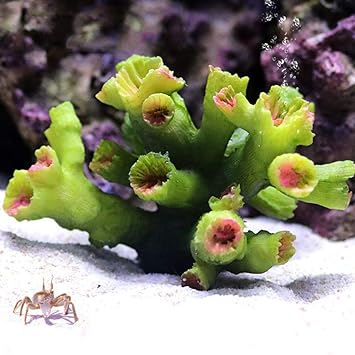 Danmu 1pc of Polyresin Coral Ornaments, Aquarium Coral Decor 2 7/10