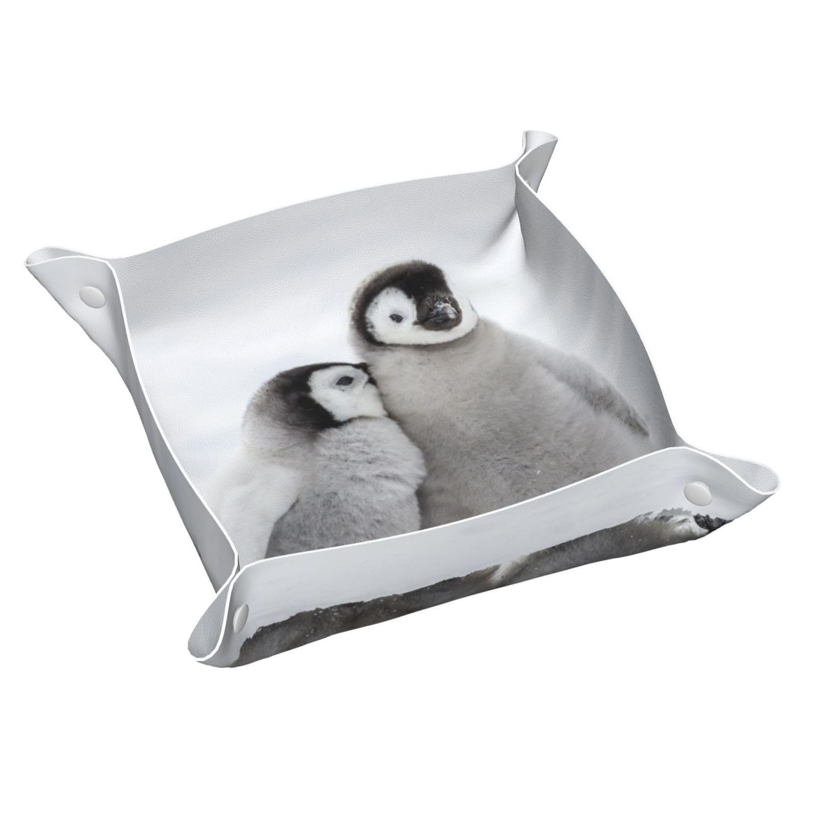 Inomak As Picture Two Penguins, Leather Storage Tray Jewellery Organiser Desktop Catchall Tray, Dresser Organizer Plate,M