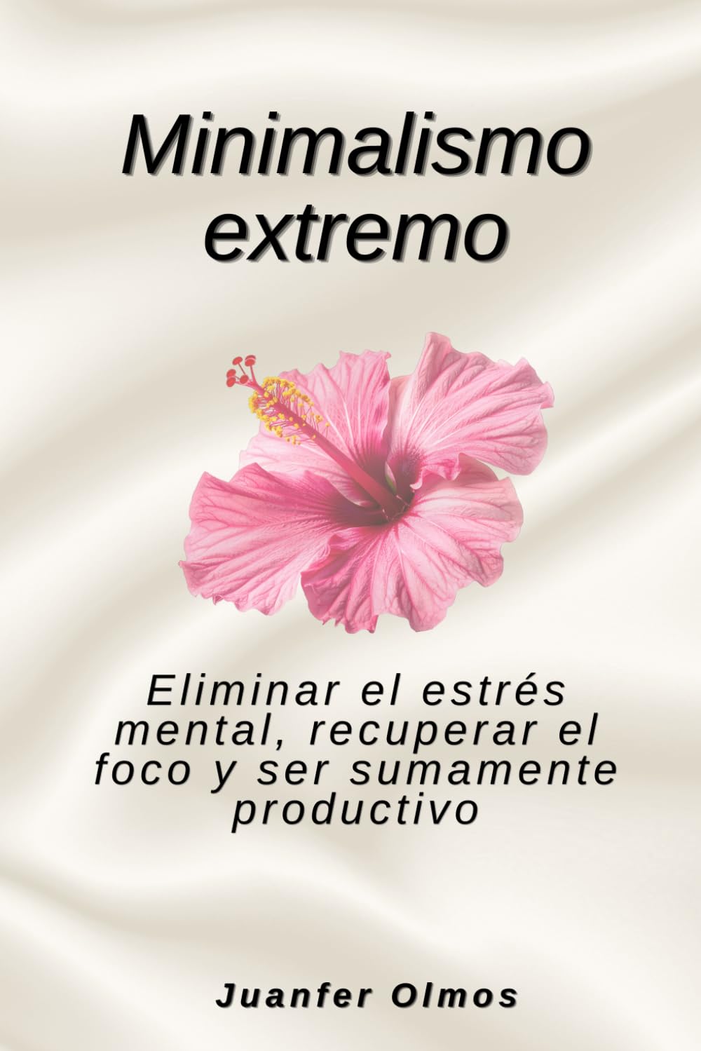 Minimalismo extremo: Eliminar el estrés mental, recuperar el foco y ser sumamente productivo