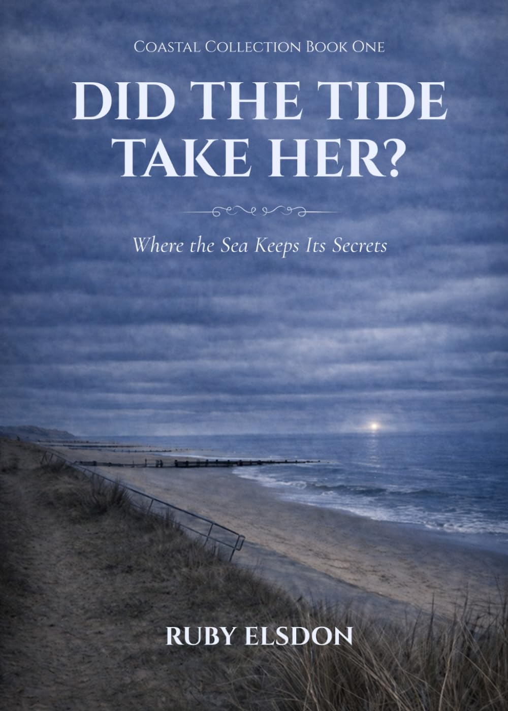 Did The Tide Take Her?: Where the Sea Keeps Its Secrets (The Coastal Collection)