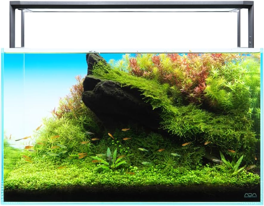 Diagram illustrating six key features of the AQUASKY RGB II 60: Refined design, ADA Original Color, Adapted to a variety of glass thicknesses, Soft Lighting function, 1.7 times brighter than previous model, and Designed with photographs and video filming in mind.