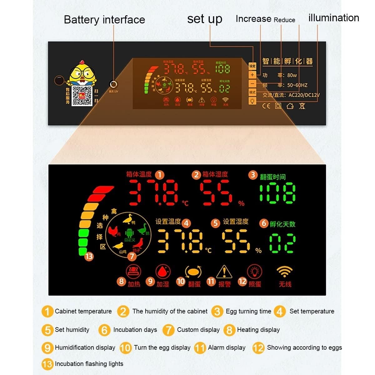 Incubadora digital de huevos con volteador automático y control de temperatura para incubación de aves de corral, perfecta para granjas domésticas y pollos en el patio trasero