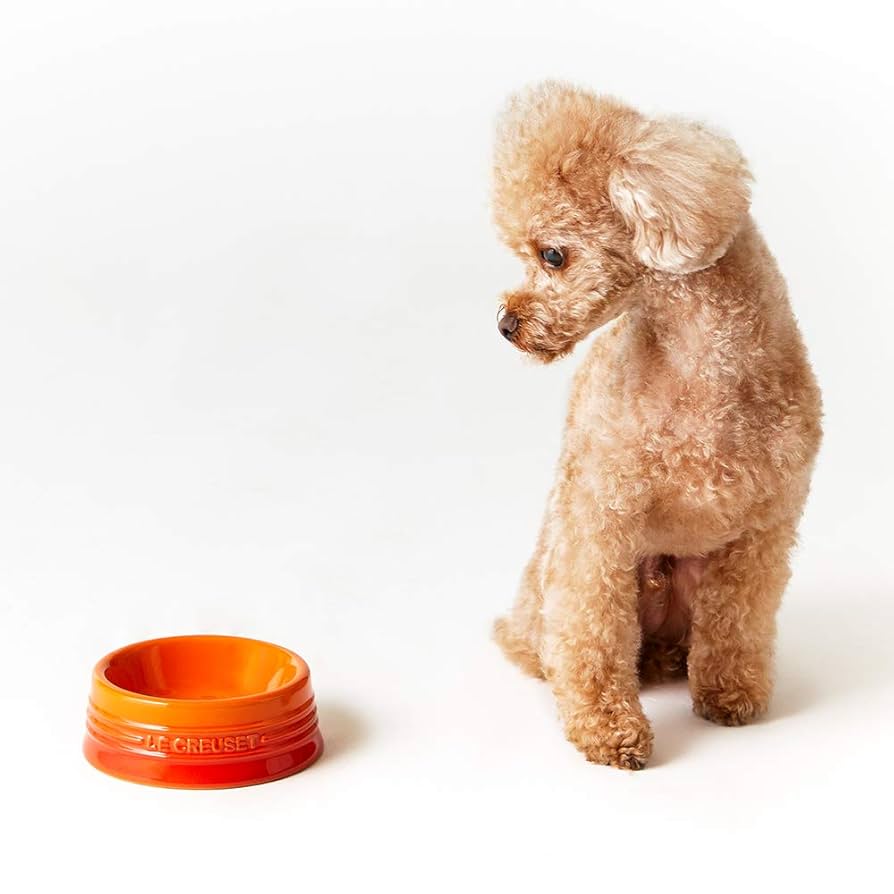 ル・クルーゼ　ペット　2点セット ル・クルーゼ ペットボウル SSサイズ Pets-first ONLINESTORE