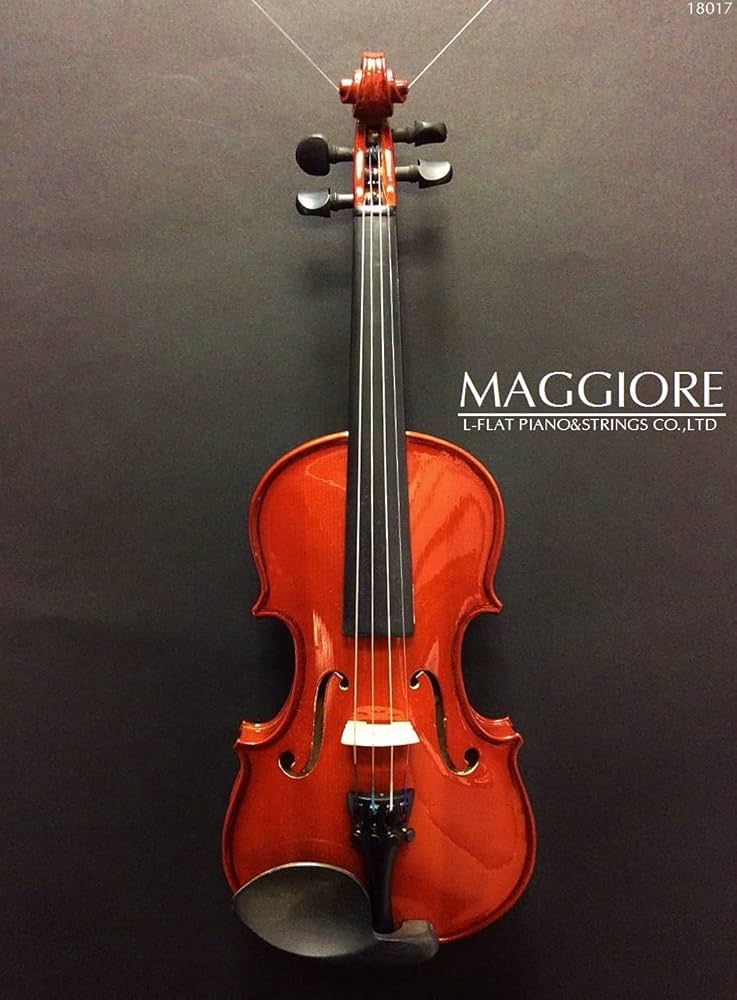 バイオリン1/8