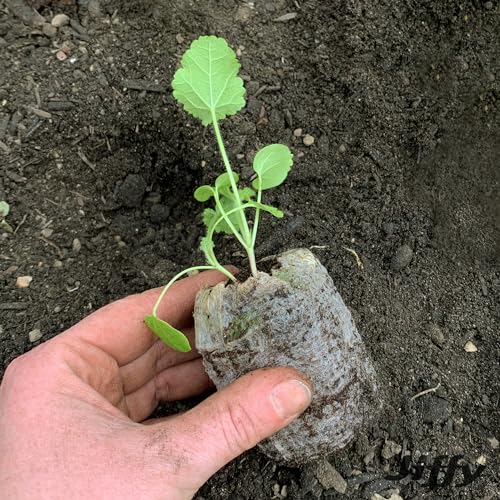 Jiffy Seed Starter 50mm Peat Pellet Refills - 5 Pack, 80 Large Pellets