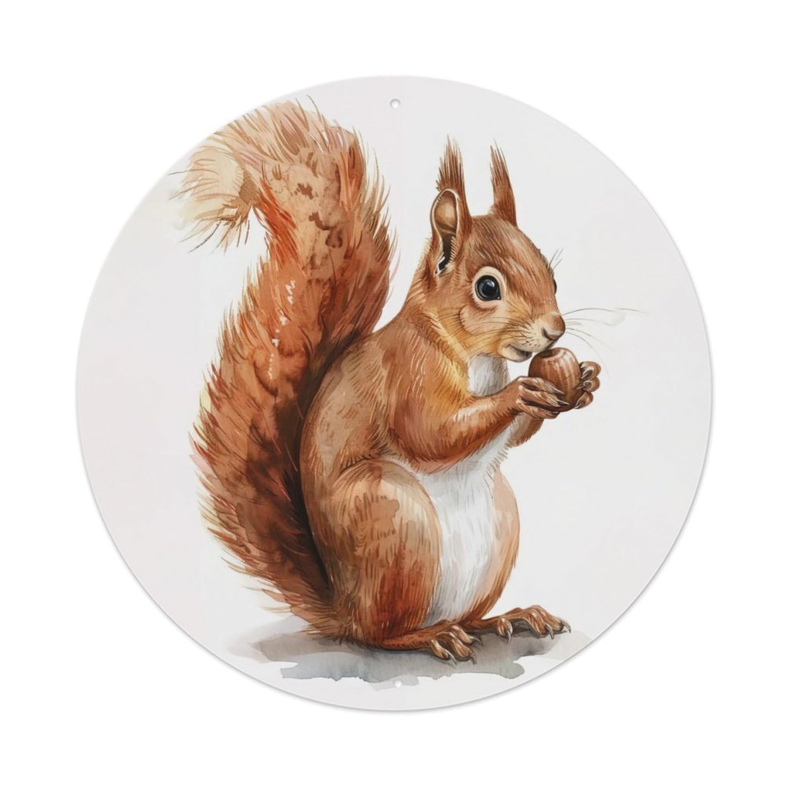 Animal Cute Squirrel Vintage Metal Tin Sign Plaque Wall Decor for Cafe, Club Bar, Office, Garden Metal Poster 8x8Inch