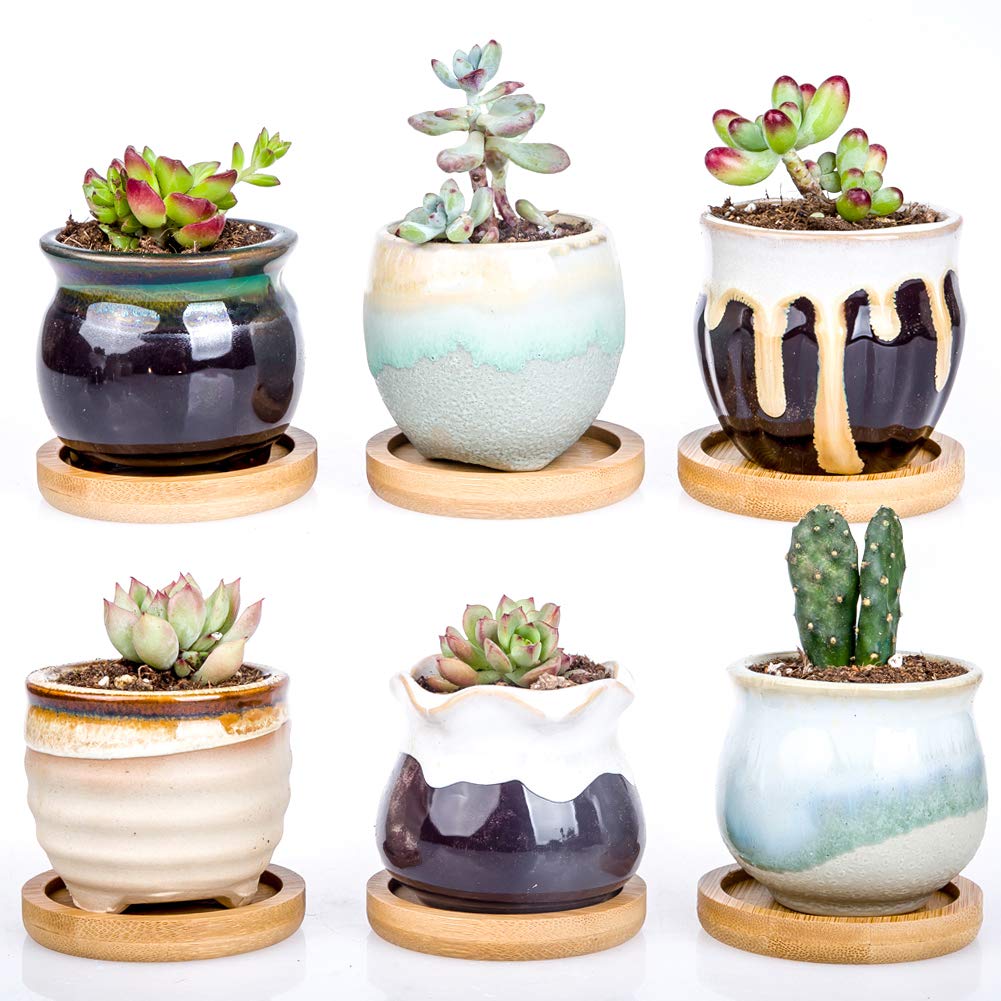Succulent Planter Pots Ceramic Pack Of 6 Buy Online In China At Desertcart