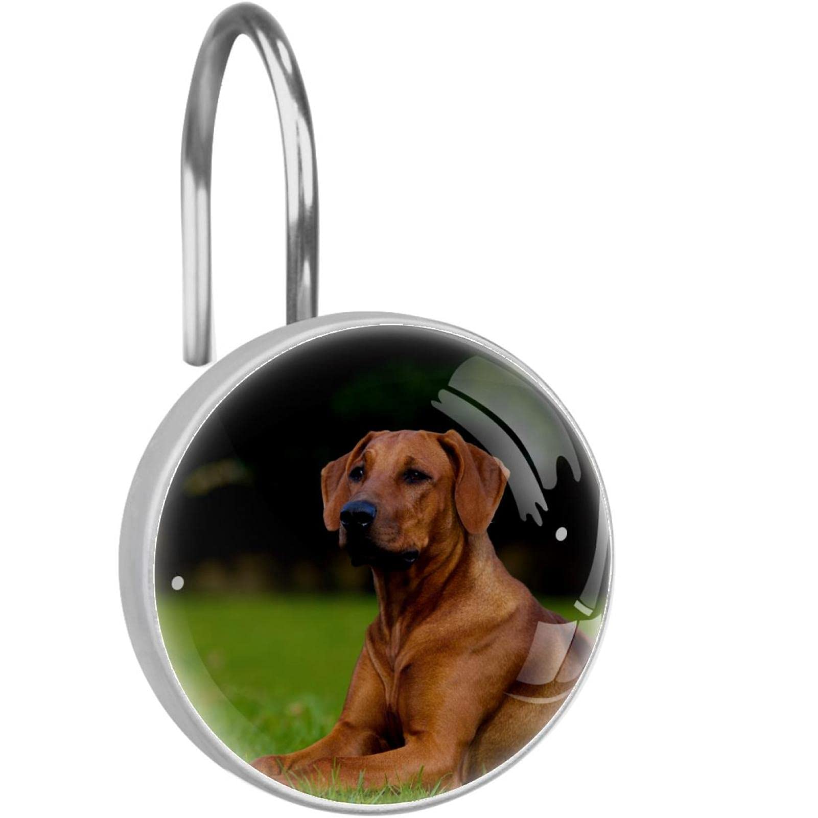 Crochets de rideau de douche Rhodesian Ridgeback en acier inoxydable (lot de 12)