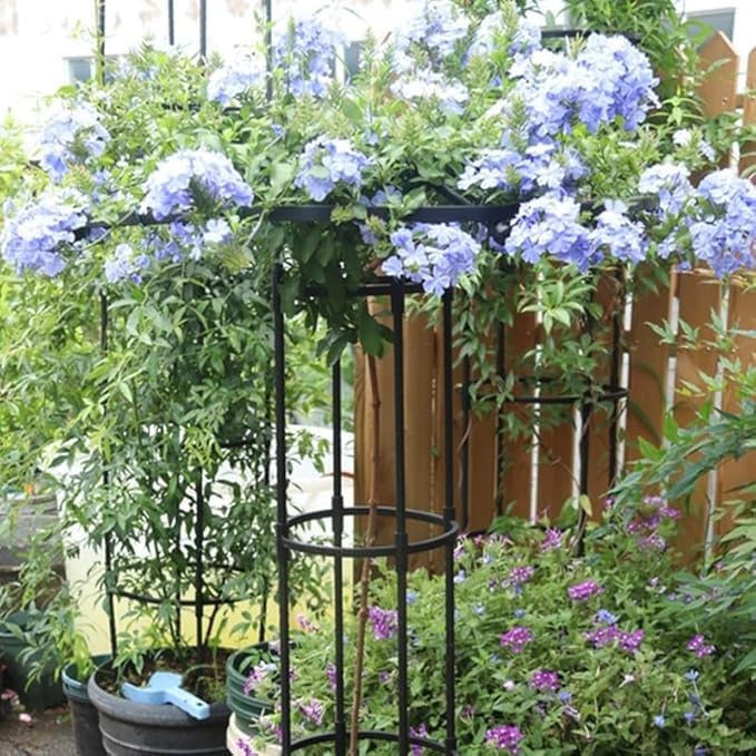 Marco floral vertical decorativo para terrazas y patios con enredaderas 5