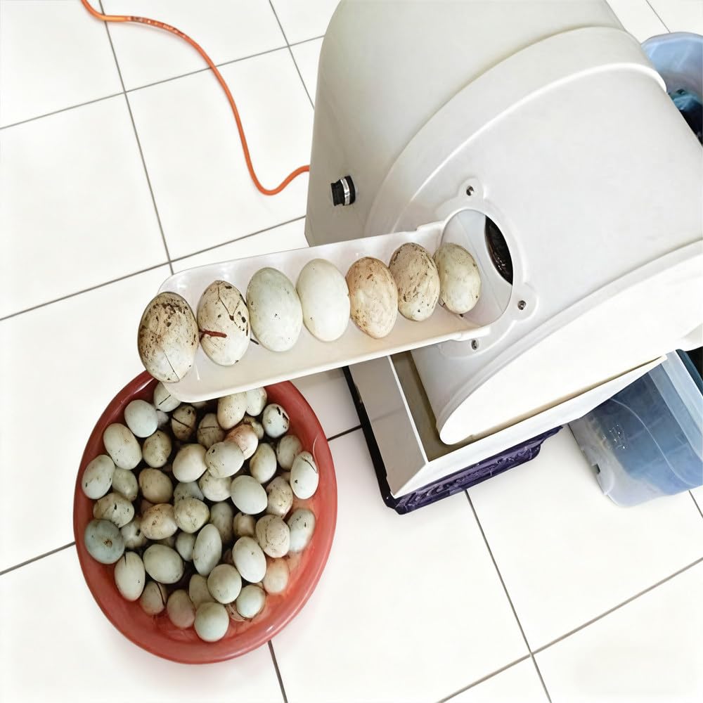 Eierwaschmaschine,Poultry Egg Washing Machine,Automatic Egg Washing Machine,2300 Stück/H Eierreiniger Waschmaschine Hühner Enten-Gänseei,Für Zuchtbetriebe Und Bauernhöfe