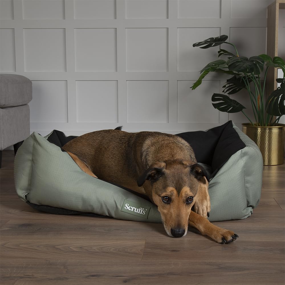 Scruffs Expedition Box Bed - XL - Khaki Green