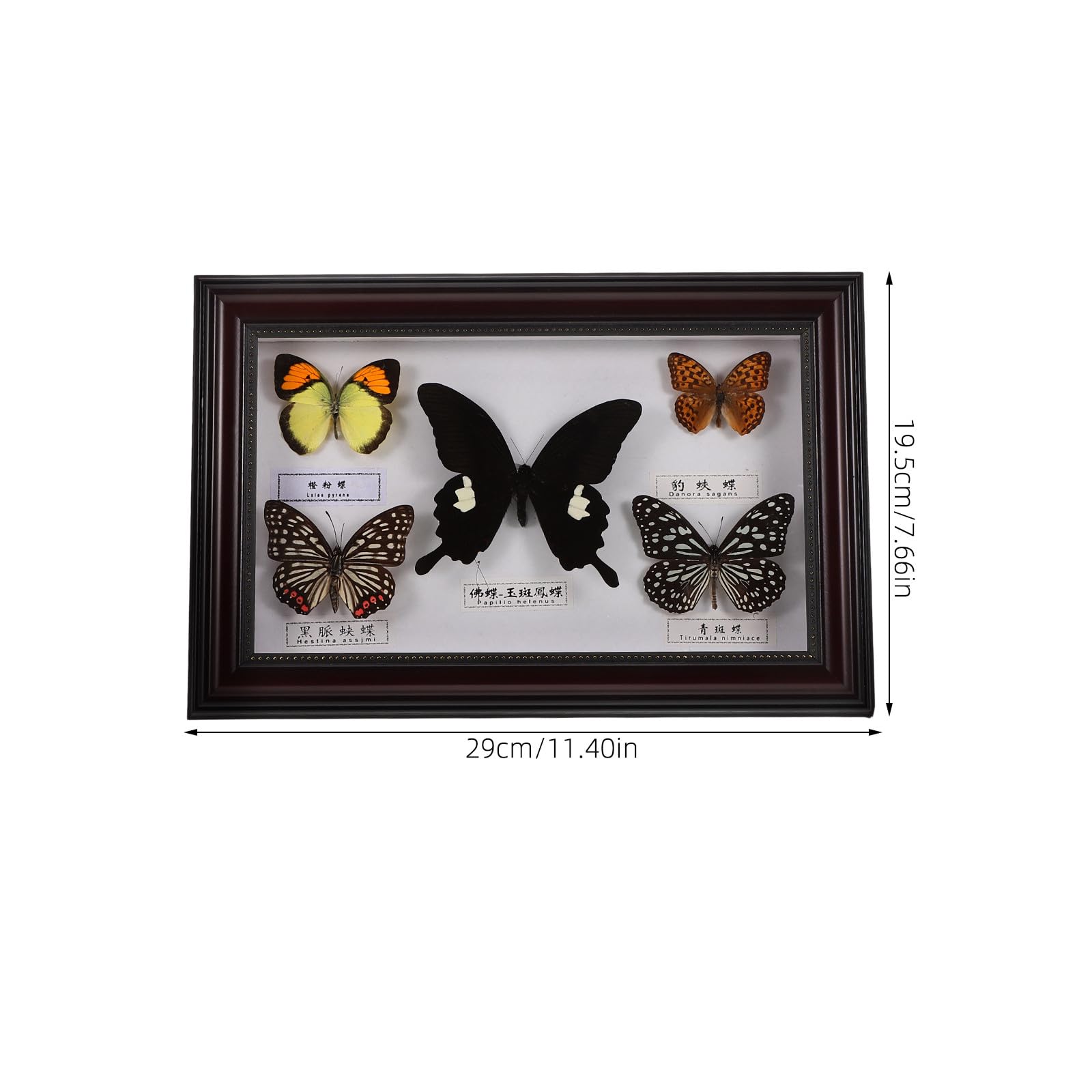 Marco de Fotos Decorativo Mariposas de Madera, Diseño Retro y Acabado Artesanal, Adecuado Decoración del Hogar y Espacios de Vida