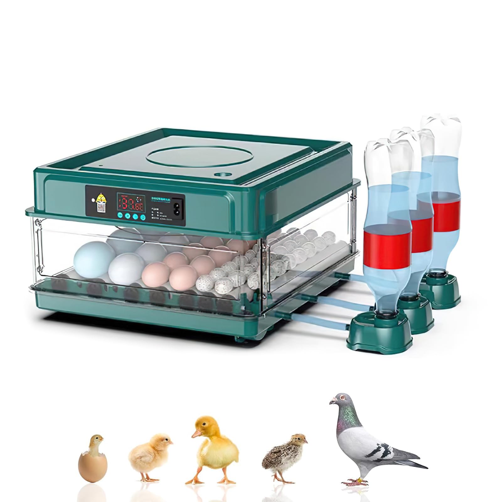 Incubatrice automatica per 10-36 uova, con rotazione automatica delle uova e umidificazione automatica, controllo della temperatura regolabile integrato per pollo, anatra, oca (24 uova)